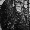 Joe Martin als Man in Ape Suit