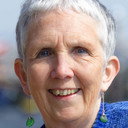 Ann Cleeves, Novel