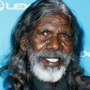 David Gulpilil als The Storyteller