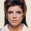 Katharine Ross als Laurel Scott