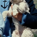 Milo als Milou / Snowy (dog)