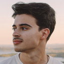 Cunha Dinis, Director