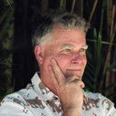 David Irving, Director