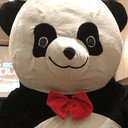 Andreza Giant Panda als Andreza Giant Panda