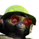 Kev als le saïmiri 2