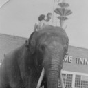 Charlie the Elephant als Elephant (uncredited)