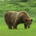 Mr. Chocolate als Self (archive footage)