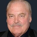 Stacy Keach als Skipper (voice)