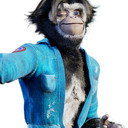 Jake als le gibbon