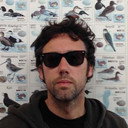 Koldo Almandoz, Director