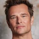 David Hallyday, Music