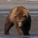 Sergeant Brown als Self (archive footage)