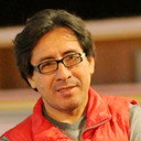Palito Ortega Matute, Director
