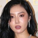 화사 als 