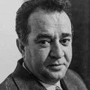 Hajrudin 'Šiba' Krvavac, Director