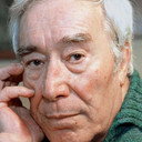 José Cardoso Pires, Writer