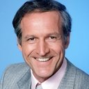 Daniel J. Travanti als Arnold Mayer