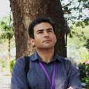 Taha Karimi, Director