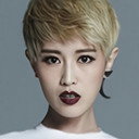 Yin Shuyi, Theme Song Performance