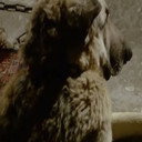 Çarşaf als 