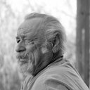 Jim Harrison, Novel