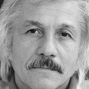 Mihai Volontir als 
