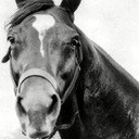 Man o' War als Race Horse