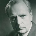 Hugo Björne als Johan Persson