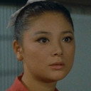 Hiroko Minami als 