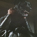 Harry als Ralph (dog - uncredited)