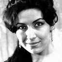 Alev Gürzap als (Sevda Ferdağ Seslendirmesi)
