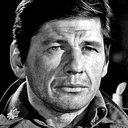 Charles Bronson als Holland