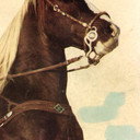 Koko als Koko, Rex's Horse (as Koko the Miracle Horse of the Movies)