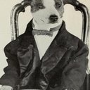 Brownie the Wonder Dog als 