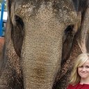 Tai the Elephant als Vera