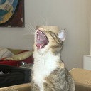 Miu als Gott