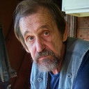 Владимир Вышегородцев, Animation