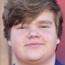 Jeremy Ray Taylor als Young Ben Hanscom