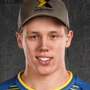 Ferry Svan als Self