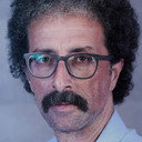 Babak Lotfi Khajepasha als The Teacher