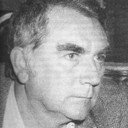 Dumitru Radu Popescu, Writer