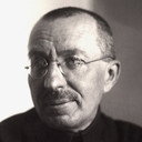 Антон Макаренко, Novel