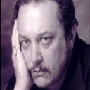 Dan Braverman als Cab Driver