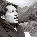 Luigi Filippo D'Amico, Screenplay