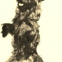 Terry als Toto