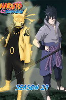 S19 • In Naruto's Footsteps: The Friends' Path