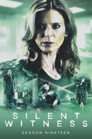 Series 19
