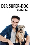 Säsong 14