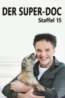 Säsong 15