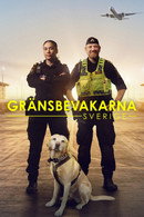 Säsong 9